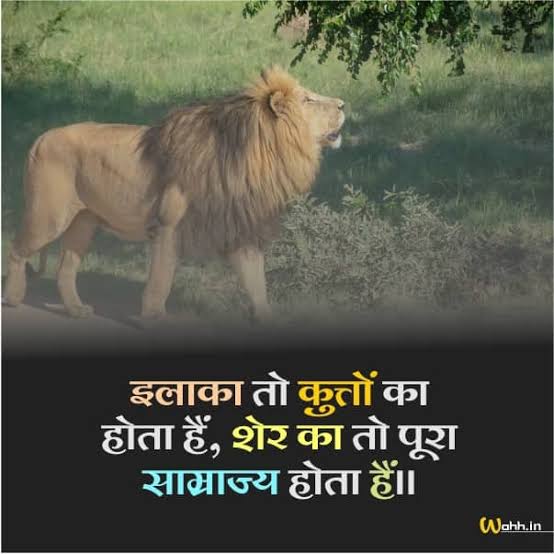 Yes Right