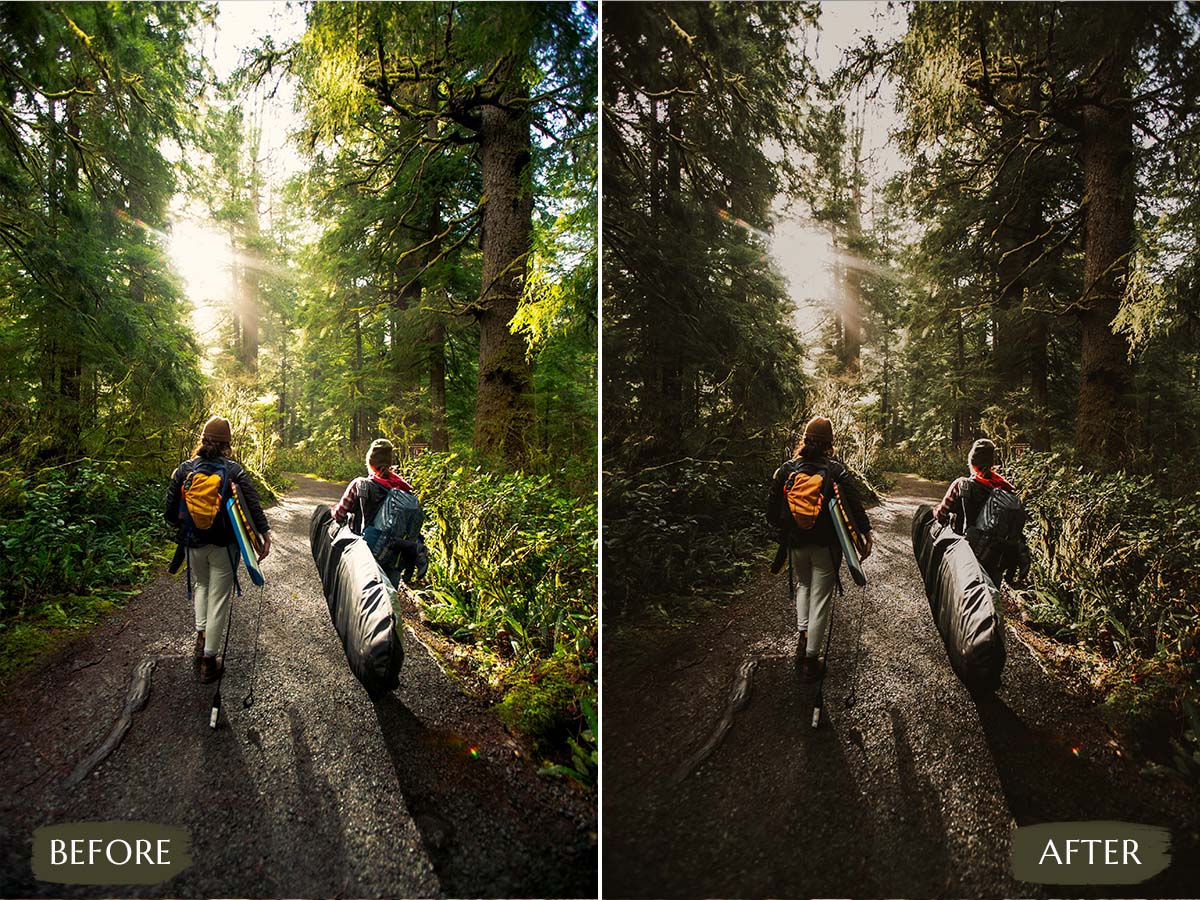 PixmellowHQ's tweet photo. Deep Nature Video LUTs
Deep Nature LUTs is a comprehensive collection of high-quality color grading tools
Get LUTs below this link👇🏿
https://t.co/0NTzI6oVJU
#deepnature #deepnatureluts #photographyluts #musicvideolut #lutsvideoediting #lutediting #lutfilmora #lut #lutsforvideo https://t.co/eNj2nFuYiT