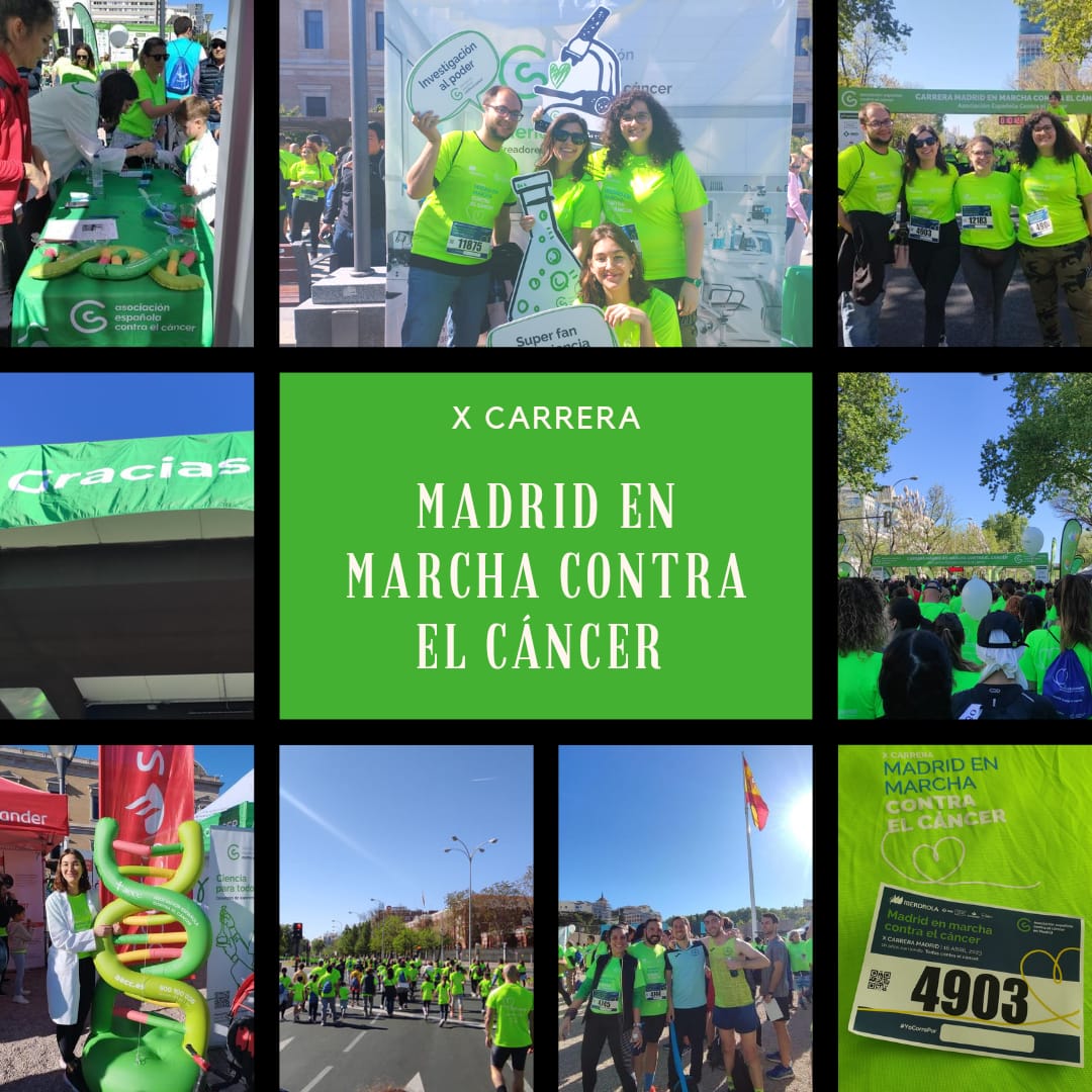 NanoBioTube tweet media