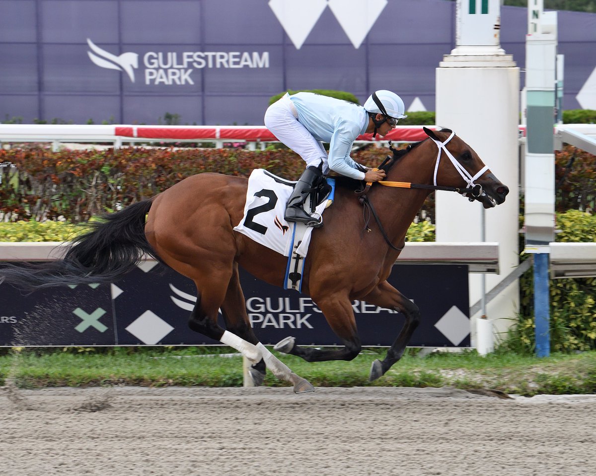SaffieJosephJr's tweet photo. #16Apr Swirvin
Jockey: Edgard Zayas
Trainer: Saffie Joseph, Jr.
Owner: Bassett Stables
Allowance Optional Claiming $75,000 • Dirt
5️⃣th victory for Saffie Joseph, Jr. #RoyalPalmMeet Saturday, April 15, 2023 #GulfstreamPark
📸 @coglianesephoto https://t.co/8hjfxsqpWW