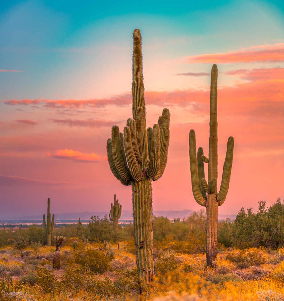 Cotton Candy Sky in the #arizona #desert west of #Phoenix