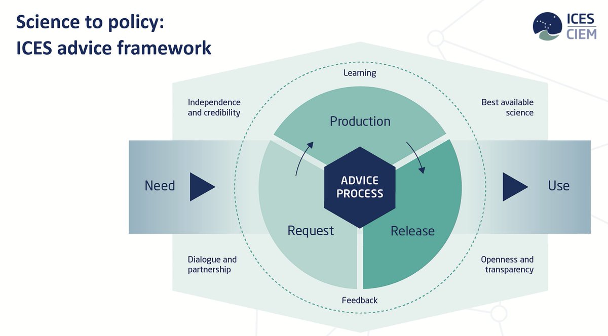 Mark Dickey-Collas 🏳️🌈 tweet media