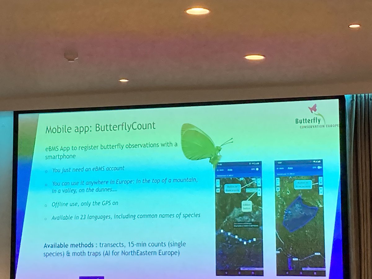 UKLadybirds's tweet photo. Inspiring to see #eBMS @europebutterfly in numbers - amazing network with volunteers documenting and addressing biodiversity change across Europe and beyond @UK_CEH @savebutterflies https://t.co/wWNDmBxW82