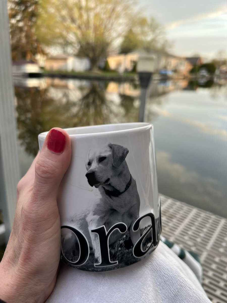 panthergirlrx's tweet photo. Rx: Morning Coffee at the end of the Dock. Good Morning from the Lake 🤍. It’s been a love-bucket filling weekend.  #SoberWeekend #SoberSunday #MorningCoffee #WeekendsAtTheLake #Peaceful https://t.co/DPsVzUXJ6d