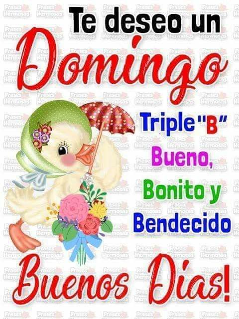 #JusticiaYPaz <a href="/Mippcivzla/">mippci</a>
Te deseo un domingo triple B; Bueno, bonito y bendecido, buenos días.
50🐦🐦
<a href="/VTVcanal8/">VTV CANAL 8</a> 
<a href="/CarnetDLaPatria/">Carnet de la patria</a> 
<a href="/NicolasMaduro/">Nicolás Maduro</a> 
<a href="/MkPatriota/">Mildre Patriota</a>