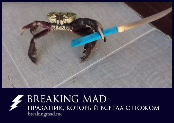 breakingmad tweet media