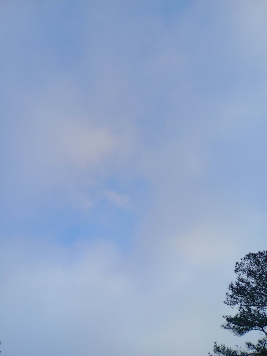 KelbyRVA's tweet photo. #CentralVASkyview #SaturdayRecap
Sorry that the Saturday Skyview is late! My Twitter feed was rolling yesterday morning. This morning I'm posting before I look. π
Saturday AM https://t.co/KuNb5VhYJu