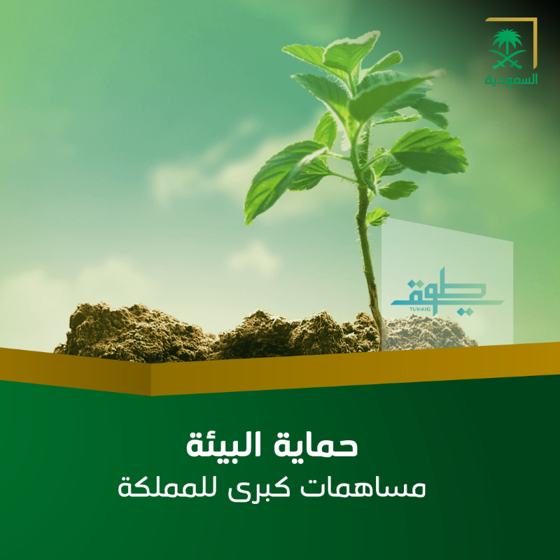 SBAgovSA's tweet photo. يهدف إلى خفض الانبعاثات الكربونية وتحسين جودة الحياة؛ برنامج طويق يسلط الضوء على دور المركز الوطني لتنمية الغطاء النباتي ومكافحة التصحر. #هيئة_الإذاعة_والتلفزيون