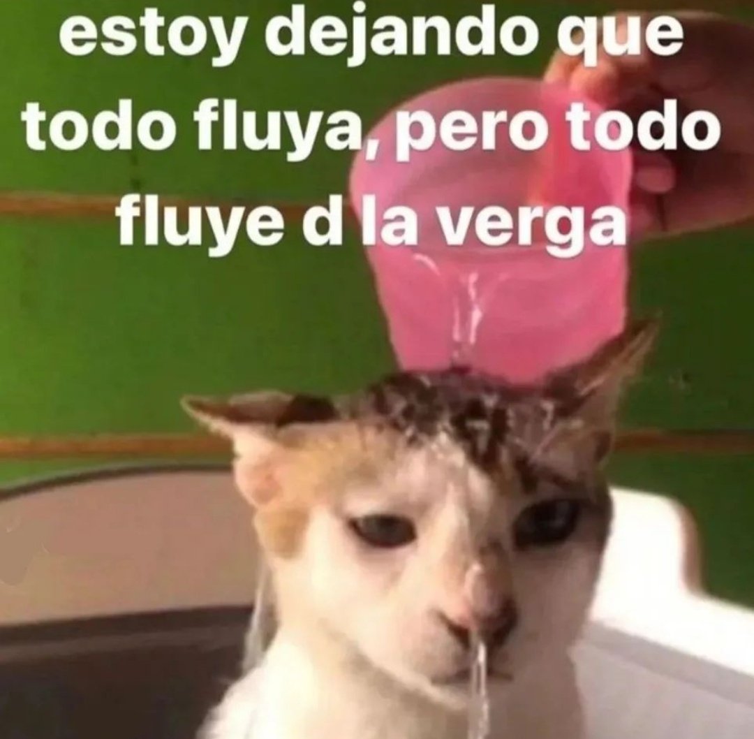 skereunpesado's tweet photo. https://t.co/b3L5lQved0