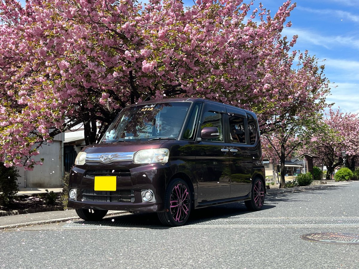 Ayane_Tanto's tweet photo. ꫛꫀꪝアルミ‼️
桜🌸のアルミなので、桜の下で撮ってみました📸
#HaruStyle
#tanto #タント
#ホイール
#アルミ
#桜ホイール
#桜アルミ
#桜
#サイドショット
#ドレスアップ
#車ドレスアップ
#RPRIDE
#アールプライド
#和道桜
#自慢のサイドショット https://t.co/lgLW1Wco6N
