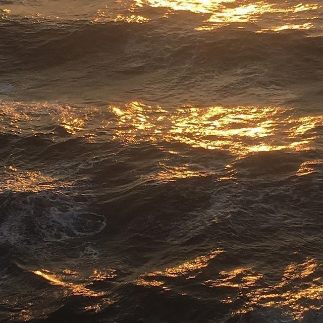 “yine de biri çıksa, nasılsın dese, alışkanlıkla iyiyim diyeceğim. kederli olduğum da söylenemez zaten, ne taze bir ölüye sahibim, ne felaket geçirenlerim var. dedim ya oturuyorum öylece. iyi ki etrafımda kalbimi tanıyanlar yok.”

• yaşamak | cahit zarifoğlu