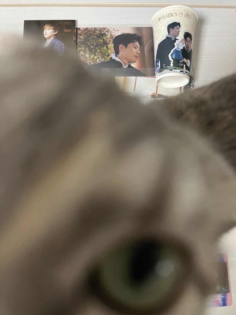 cheol2_2's tweet photo. 나눔해주신모든분들
너무넘우넌ㅁ무감사해요😻🫶
저희집애옹이도맘에든다네요❕ https://t.co/1wqtOUqc7y