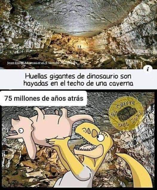 El grifo pirata carmesí (🌒🎲📜) (@erigoldelviento) on Twitter photo 