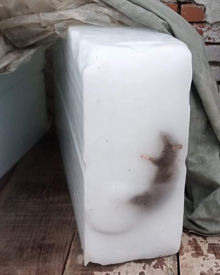 دعا کریں یہ برف پگھلے اور جلدی جلدی الیکشن ہوں