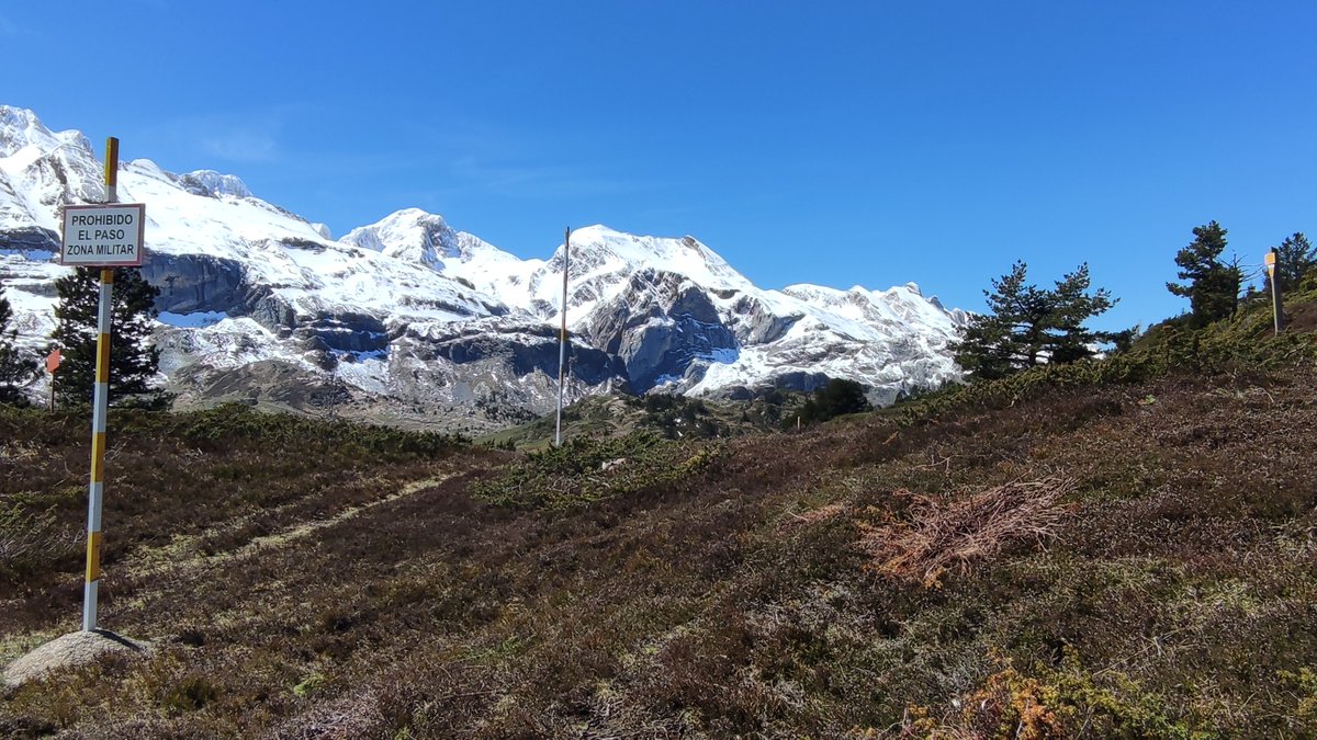 En un punto aleatorio en la frontera de Francia y España nos topamos con 2 zonas donde está prohibido el paso.

A un lado tenemos un espacio donde vive el urogallo, ave en peligro de extinción.

Al otro un campo de tiro militar.

Prioridades 💅