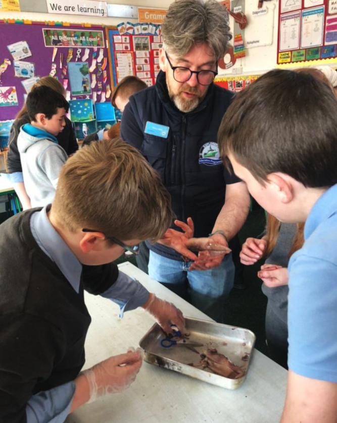 LeaveNoTraceIrl's tweet photo. #ExplorersEducation Officer William McElhinney carrying out a squid dissection for the @MarineInst's @explorersedu!
Our activities have everything from dissections to workbooks.
As the finer weather sets in, more classes will be happening nationwide!
https://t.co/GUfxDUzTYh https://t.co/24EcMV2yjw
