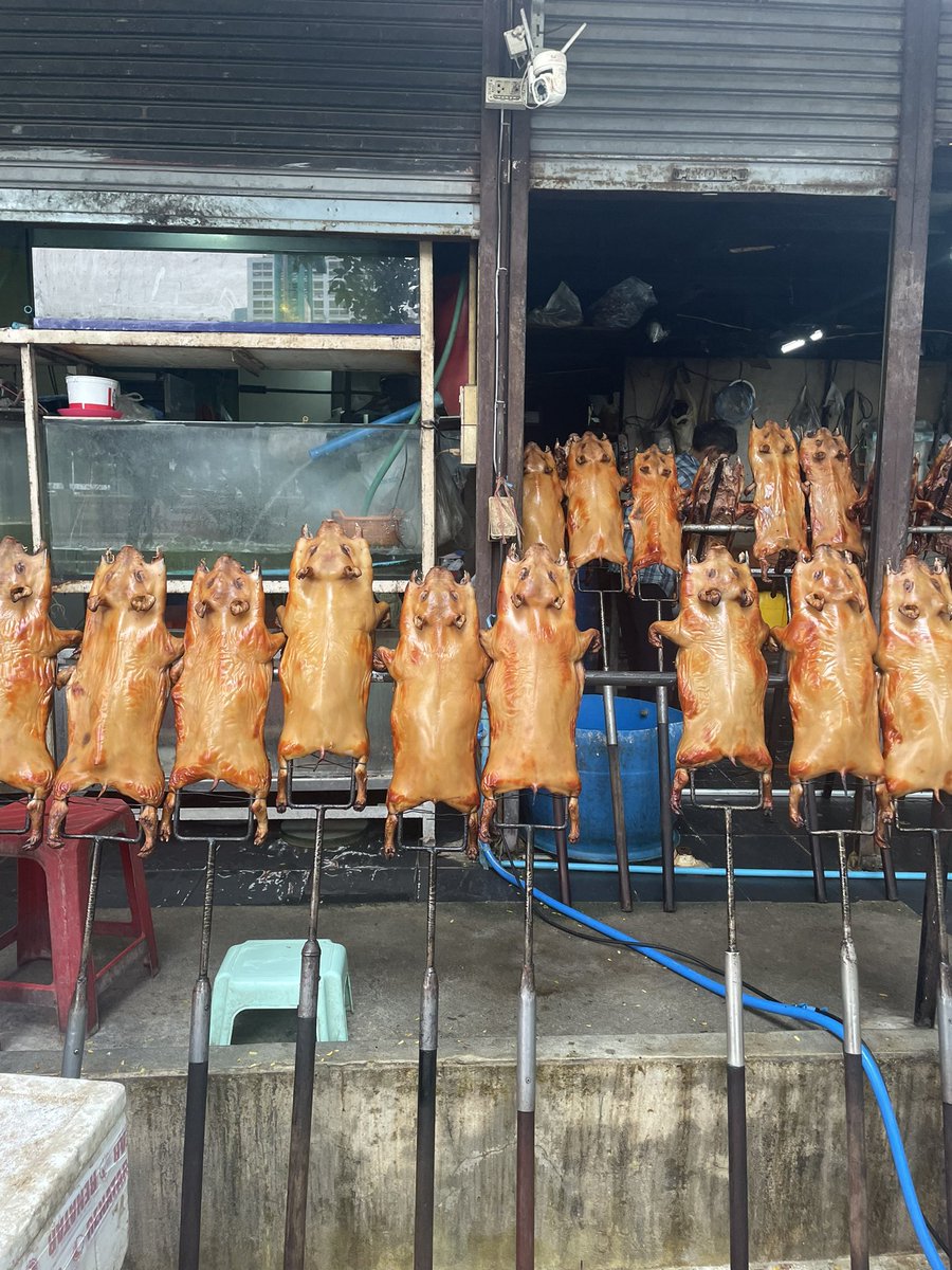 OTt6e's tweet photo. ラマ3 タワンデーン近くのムーハンソンピノンにて豚の丸焼きを注文！ビジュアルのインパクトすごいし、皮うまいし、酒がすすみます🍺 https://t.co/OD4FXdQI8f