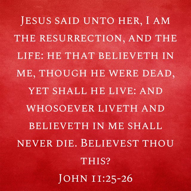 bible.com/bible/1/jhn.11…