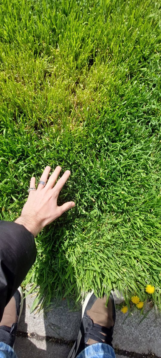 Gm 🥦

Today is a good day 
to touch gras 🏕⛰️