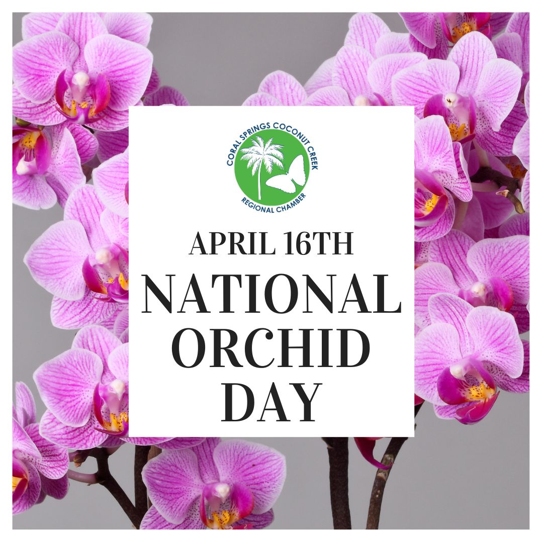 In honor of National Orchid Day, send flowers to someone you love while supporting a local Florist: bit.ly/3A4DzRy