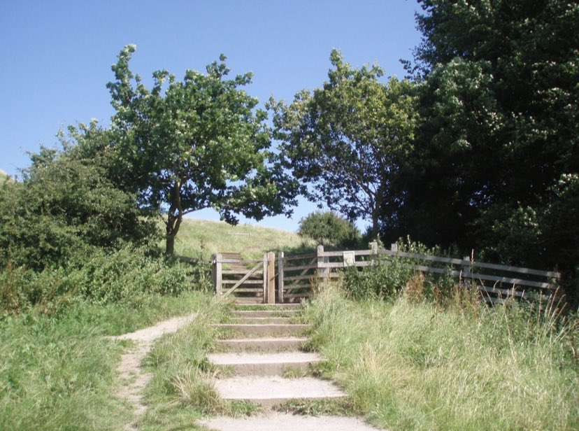 brotherurth's tweet photo. If there's a bustle in your hedgerow, don't be alarmed now. It's just a spring clean for the May Queen.
#MagicalLyrics https://t.co/Oc2e9QECUZ