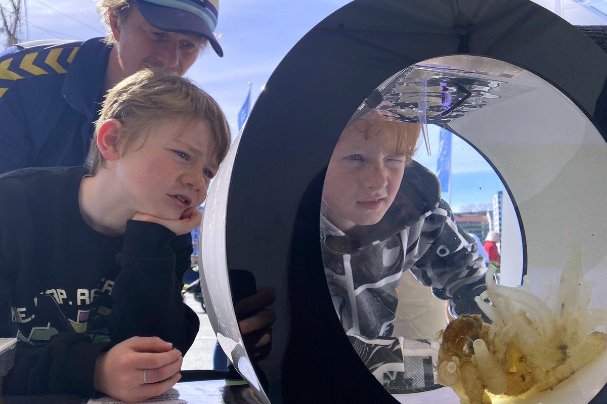 MSarsCentre's tweet image. What a stunning day here in Bergen! If you’re downtown, come join us for One Ocean Week’s Family Day at Festningskaien, Bryggen. So many wonderful experiences for the whole family. 
We’re here until 4pm!

oneoceanweek.com/program/for-al…

@UiB @UiBmatnat 
@embl 
#oneoceanweek