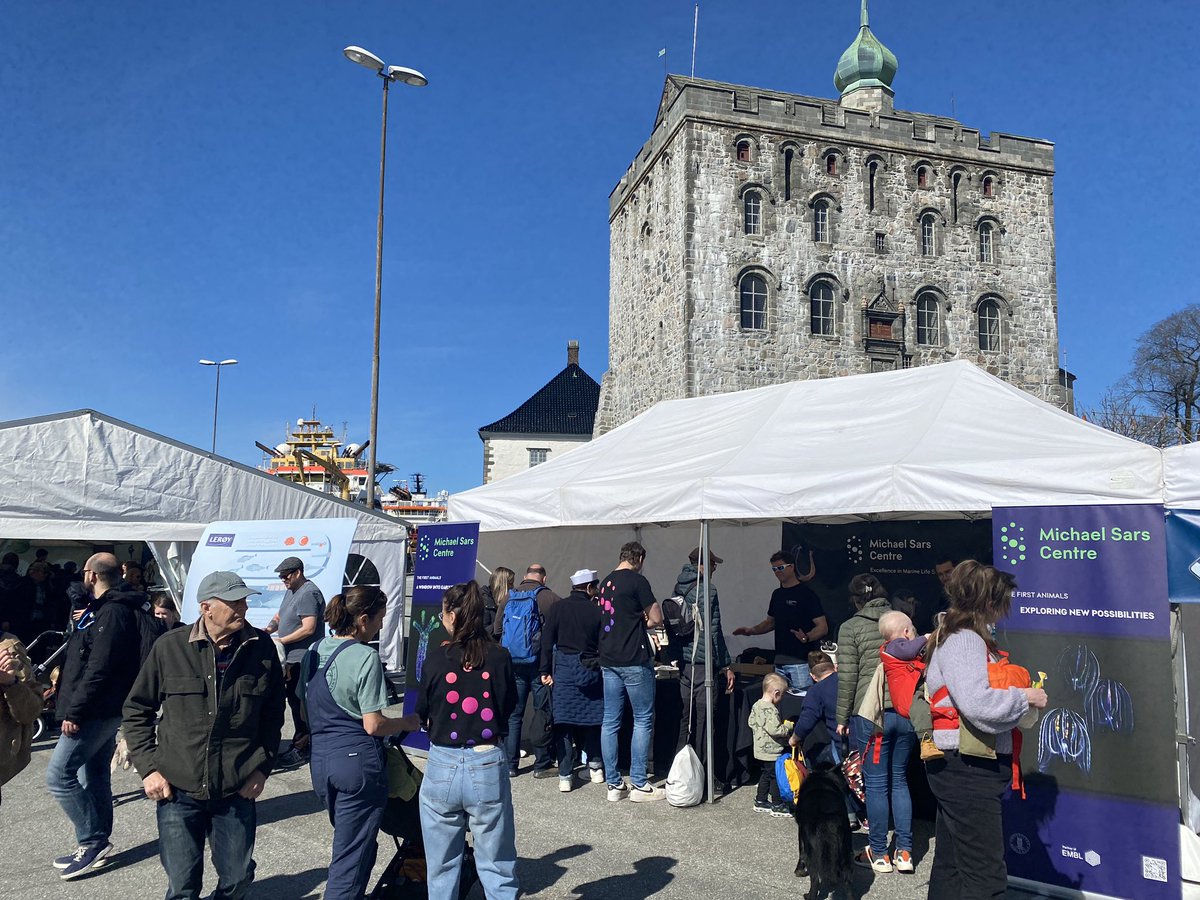 MSarsCentre's tweet image. What a stunning day here in Bergen! If you’re downtown, come join us for One Ocean Week’s Family Day at Festningskaien, Bryggen. So many wonderful experiences for the whole family. 
We’re here until 4pm!

oneoceanweek.com/program/for-al…

@UiB @UiBmatnat 
@embl 
#oneoceanweek