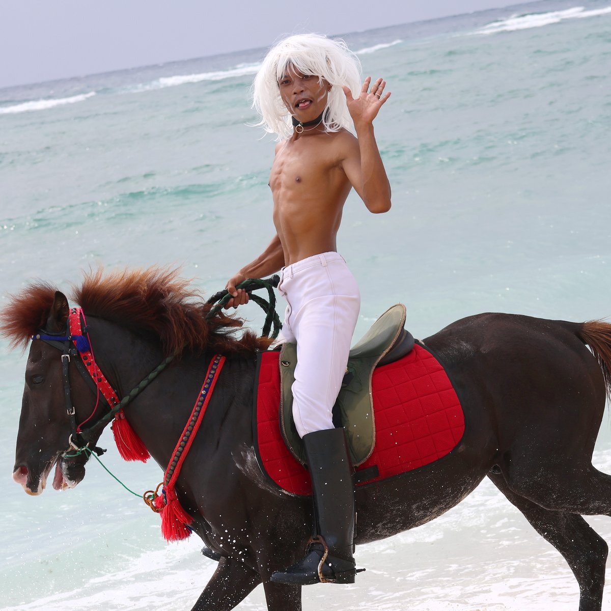 🏇Hello! Wanna ride?
▶ ▶ Visit riding.vision #ridingvision #thenewriding #artproject #horseart #queerart 💯