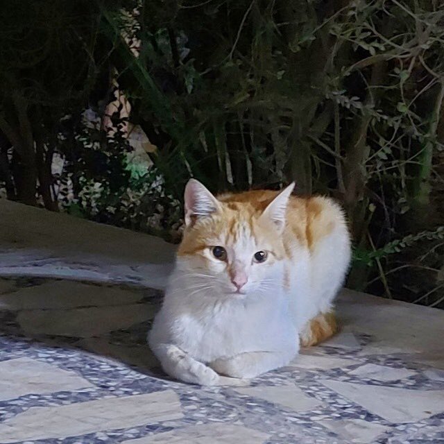 lsisans's tweet image. Fuck your phone calls, I don't want apologies