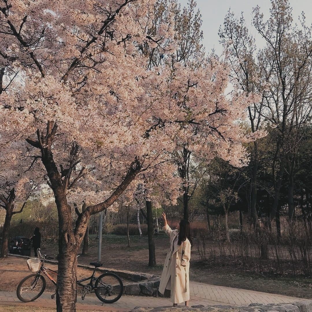 mariamorango_o's tweet image. SEM MENTIR! coloque seu nome + core no pinterest e as 4 primeiras fotos é a sua vibe

até q eu gostei