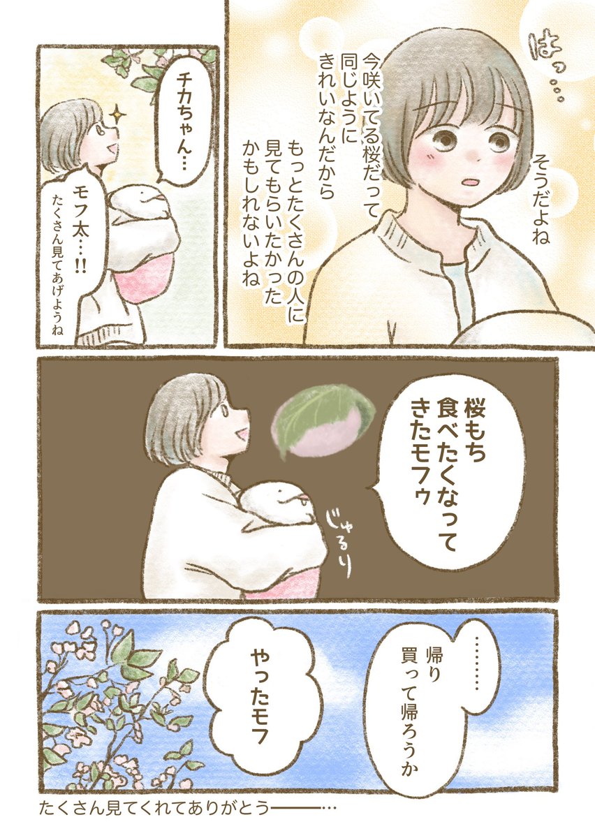 【モフ太日常編】桜と葉桜 https://t.co/iZCzgUfCEb