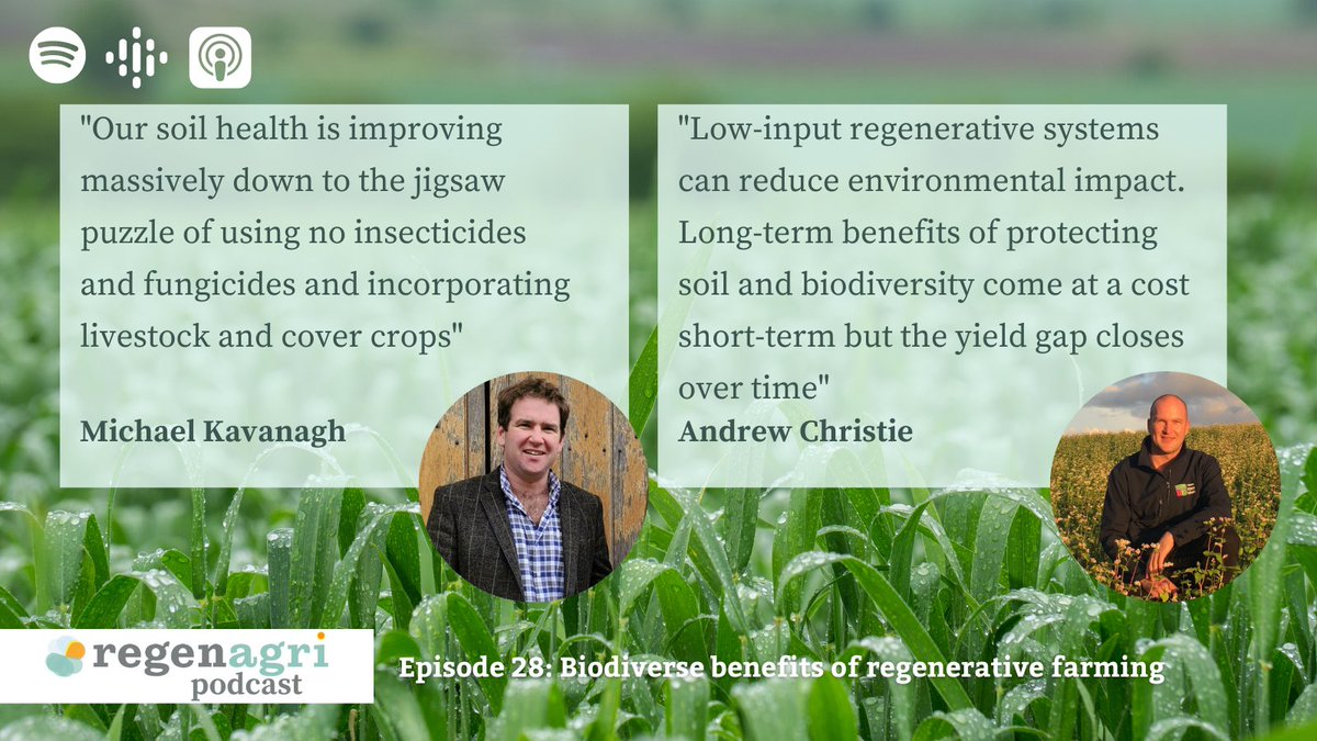 regenagri (@regenagri_org) on Twitter photo Listen to the new episode 28 of the <a href="/regenagri_org/">regenagri</a> #podcast, exploring the biodiverse benefits of #regenerativefarming with <a href="/Churchfarmkav/">Michael Kavanagh</a> <a href="/TheGreenFarmCo1/">The Green Farm Collective</a> & Andrew Christie <a href="/JamesHuttonInst/">James Hutton Institute</a>. Listen now! Search for the #regenagripodcast 🎙️ Listen to the new episode 28 of the <a href="/regenagri_org/">regenagri</a> #podcast, exploring the biodiverse benefits of #regenerativefarming with <a href="/Churchfarmkav/">Michael Kavanagh</a> <a href="/TheGreenFarmCo1/">The Green Farm Collective</a> & Andrew Christie <a href="/JamesHuttonInst/">James Hutton Institute</a>. Listen now! Search for the #regenagripodcast 🎙️