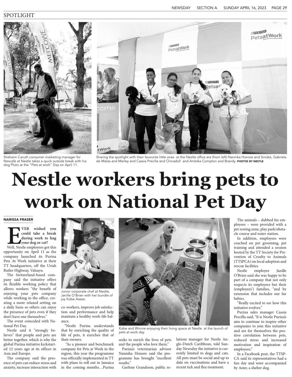 Nestlé employees got to carry their pets to work for #NationalPetDay 🙌🏽👏🏽🥺🥰😍