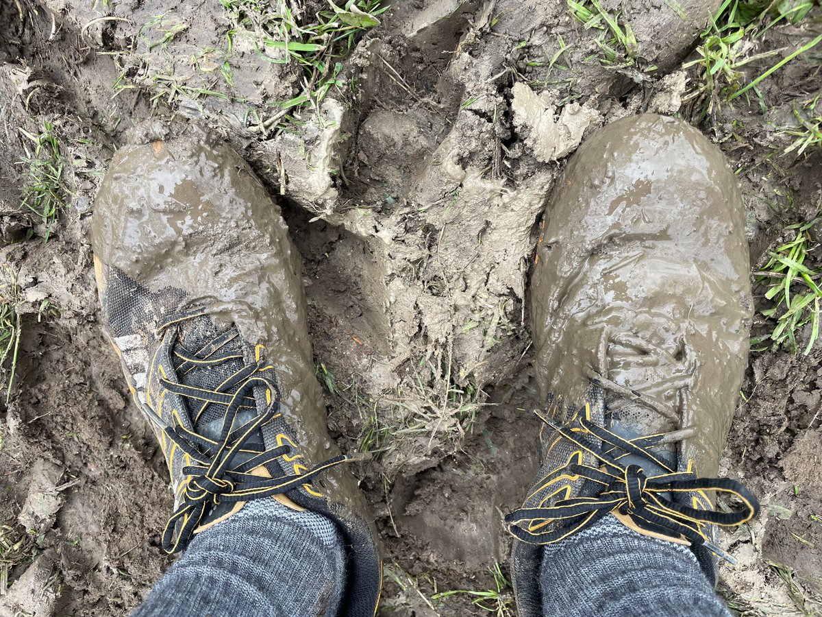 Grumpily scrolling all the lovely snowy mountain pictures in my feed from this week's snowfall. 

Today I went for a squelchy run around the lowlands of Oxfordshire. Tripped over a squirrel, landed in a bog. 🐿🙄