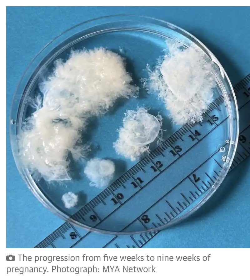 sally c (@sallyc8) on Twitter photo 