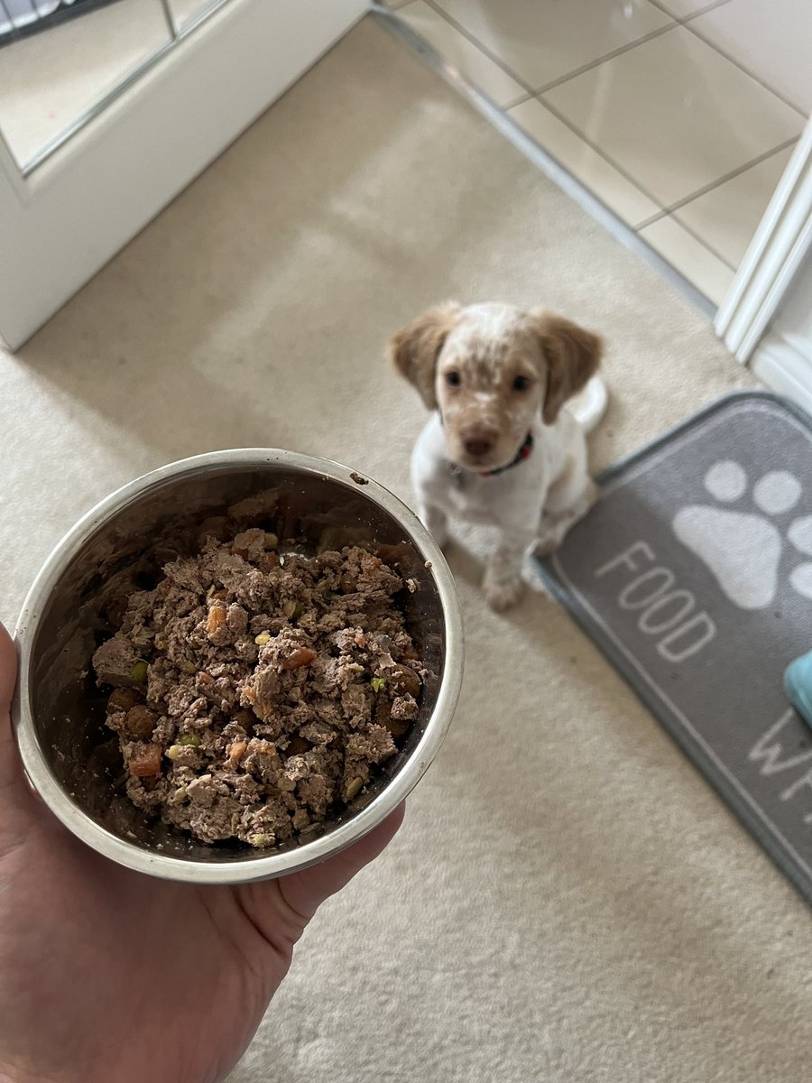 Andrew Buddle tweet media