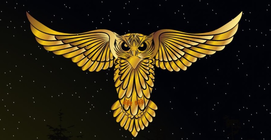 Loaded $HOOT 

• DEX/Launchpad for $QOM ( Shiba Predator )
• $SHIBA Predator is an L1 that’s set to launch soon.
• Team is comprised of some of the Karma DAO OGs.    • Launched as LBP (No team tokens) 
• 100% circulating supply. 
• DEX already live,Launchpad in Development.