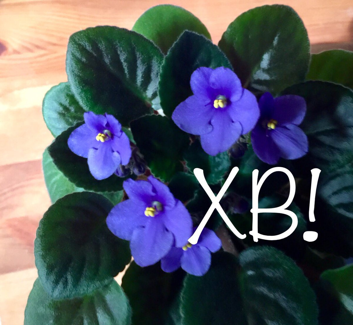 Светлого Христова Воскресенья в вашей жизни, дорогие! 
                          💕