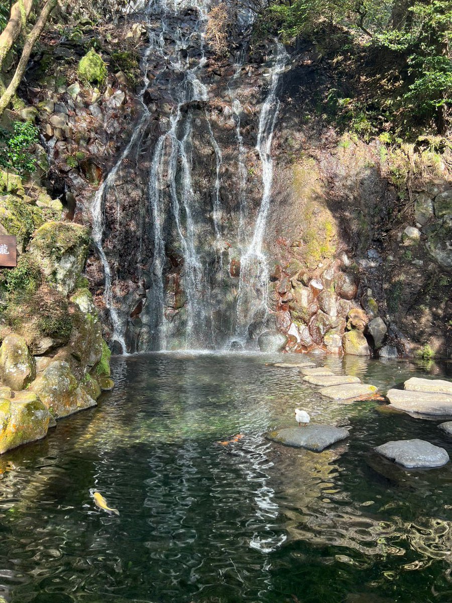 Minemunch's tweet photo. Life is a journey, you don't care about the destination, you should care about the scenery along the way and the mood of seeing the scenery. https://t.co/BsKNLMzKlX