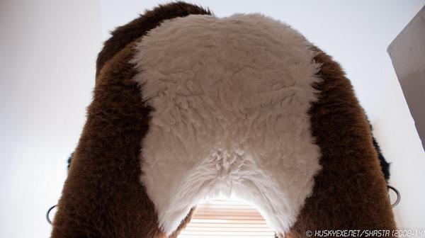 He's gonna sit on you! Of course it's <a href="/_FelixTheFox/">Felix Mischievox</a> &lt;3