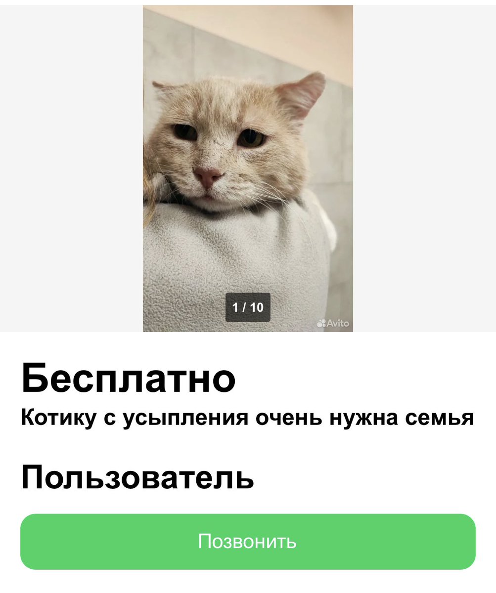из спб! может, у вас или ваших знакомых есть возможность и желание взять себе старичка 🥺🙏

котёнков разбирают быстро, а взрослых ОЧЕНЬ редко! кисик мега ласковый, здоровый и послушныыый

avito.ru/sankt-peterbur…
