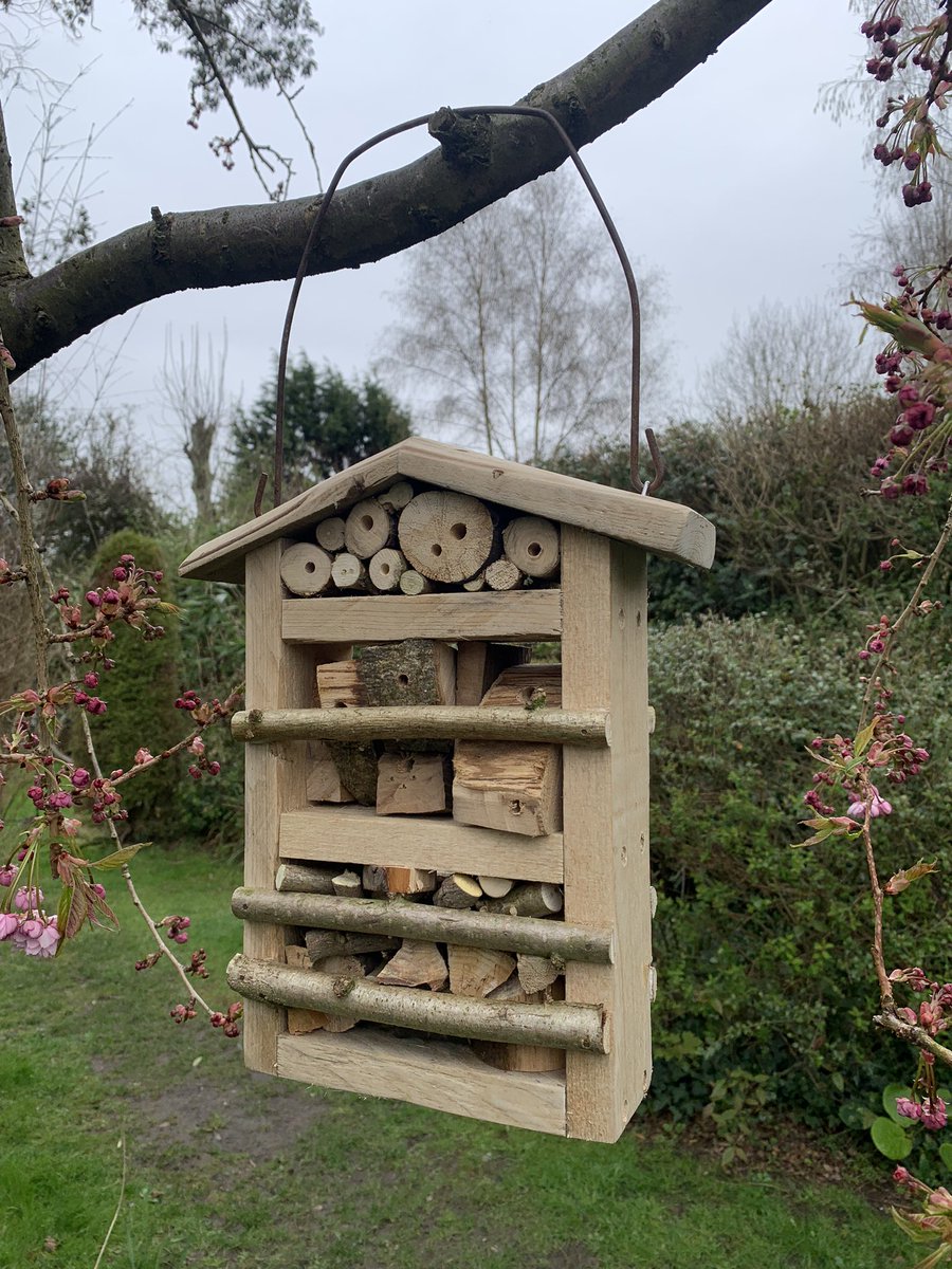 Broke my bucket this morning……..so I salvaged it’s handle and made a bee and bug hotel to go with it!! 🙃🐝🐞

#Rustic #handmade #reclaimed #bee #bug #hotel #recycle #reclaim #reuse #repurpose #garden #solitarybee