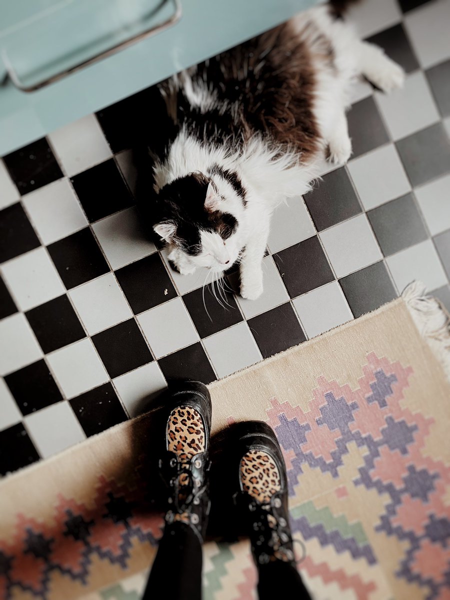 A CAT SITTER‘S LIFE 
Pic ©️ Rosa Mayland.
#CatSitting #CatSittersLife #Cats #ShoeSelfie #TUKShoes #Pets #CatSittingServices #Sunday