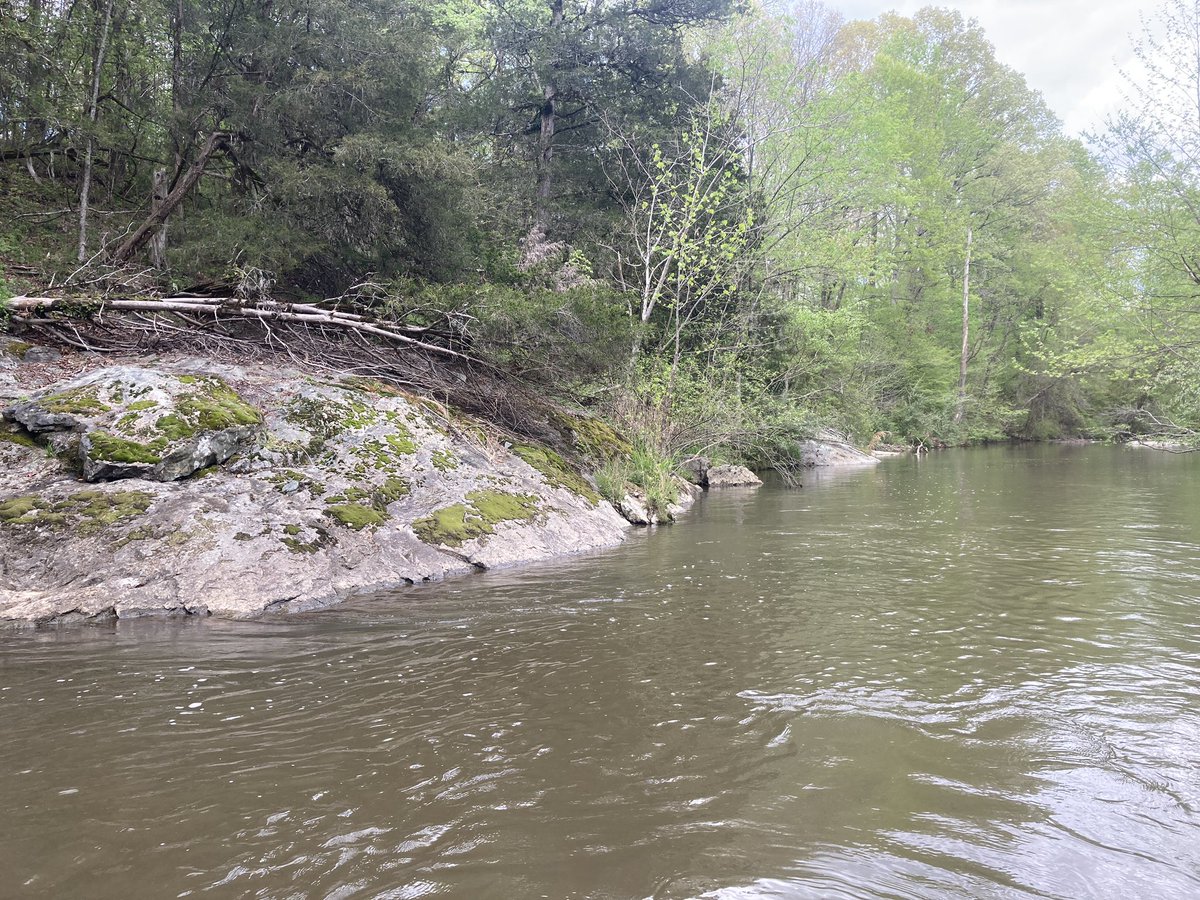 miacalva's tweet image. The rain had filled the rocky areas of with clear, dark water, bass came up &amp;amp; with spring in bloom, my #JacksonBiteFD matched the scene. The new Mark IV drive unit was quiet while the lower unit handled the occasional rock like a champ.

#petermancatalog #kayakfishing