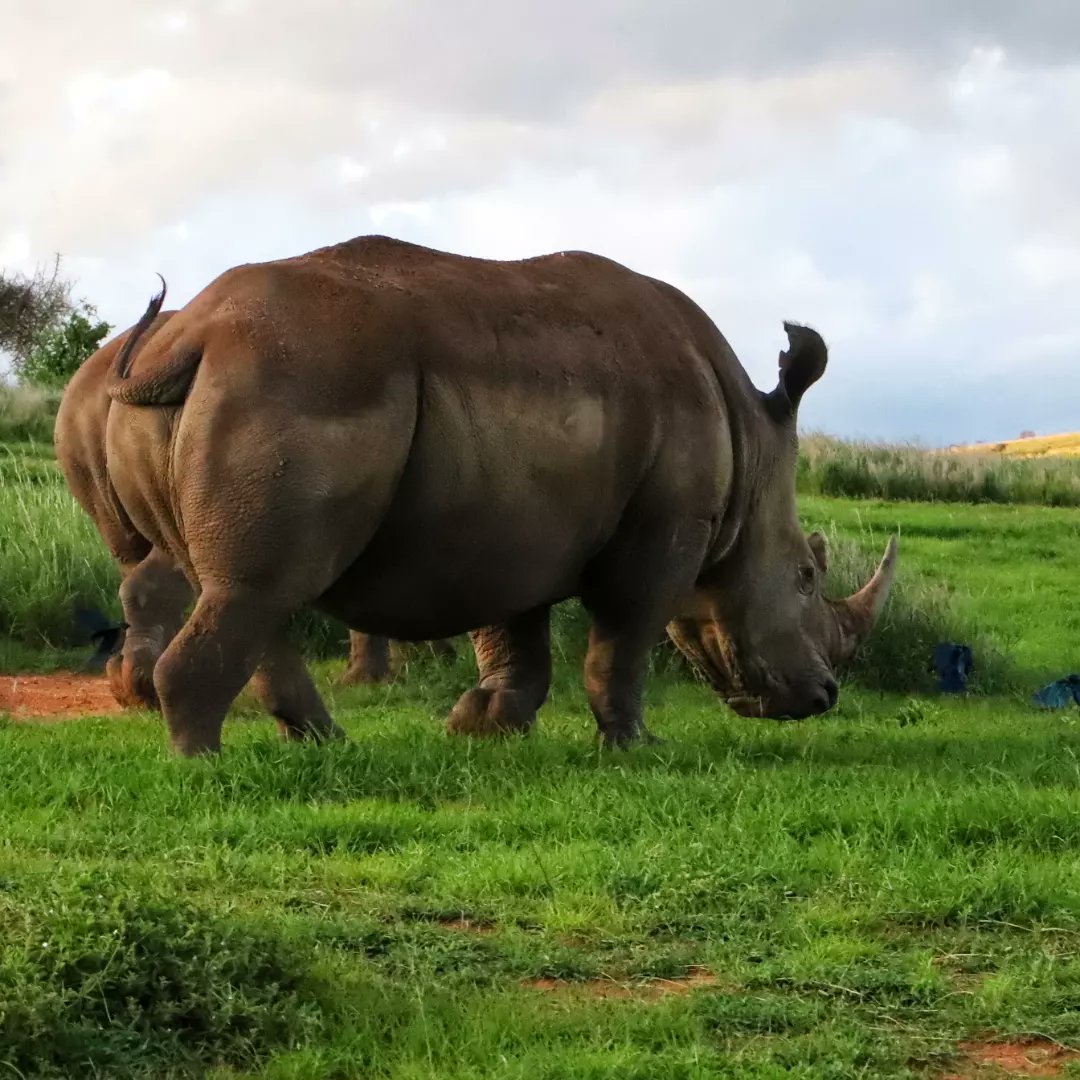 Harriet James tweet media