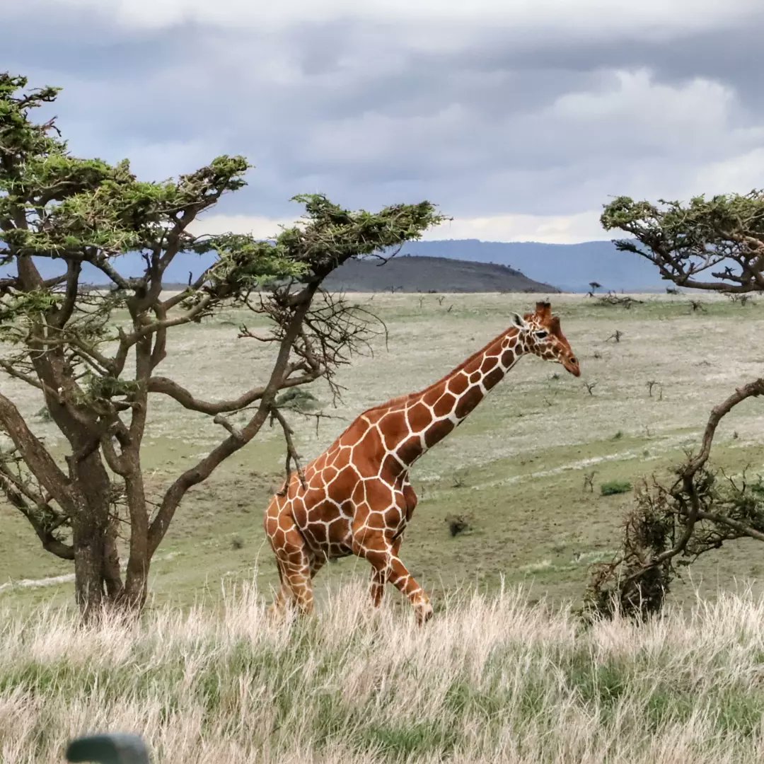 Harriet James tweet media