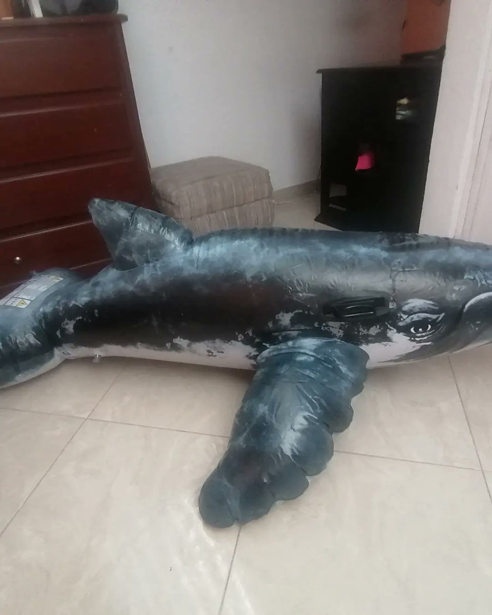 Atlantia_666's tweet photo. Bueno, estas semanas han estado algo de la patada, pero el tener al fin esta ballena me pone de buenas 🥺🎈🐳🐋

#squeakssaturday #squeaksqueak #inflatablewhale #inflatablepooltoys #loonerfetish #intex https://t.co/PLwsLX1ulk