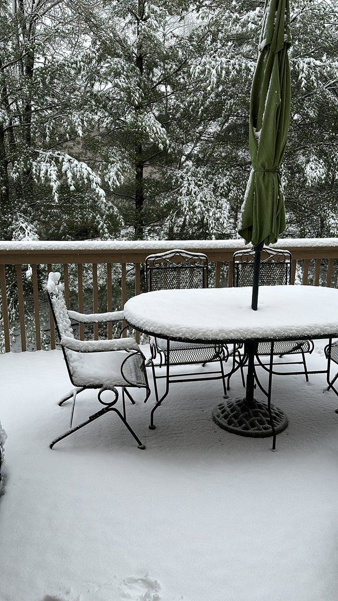 rball490's tweet image. 2 days ago it was almost 90.
#Minnesotaspring #FoolsSpring