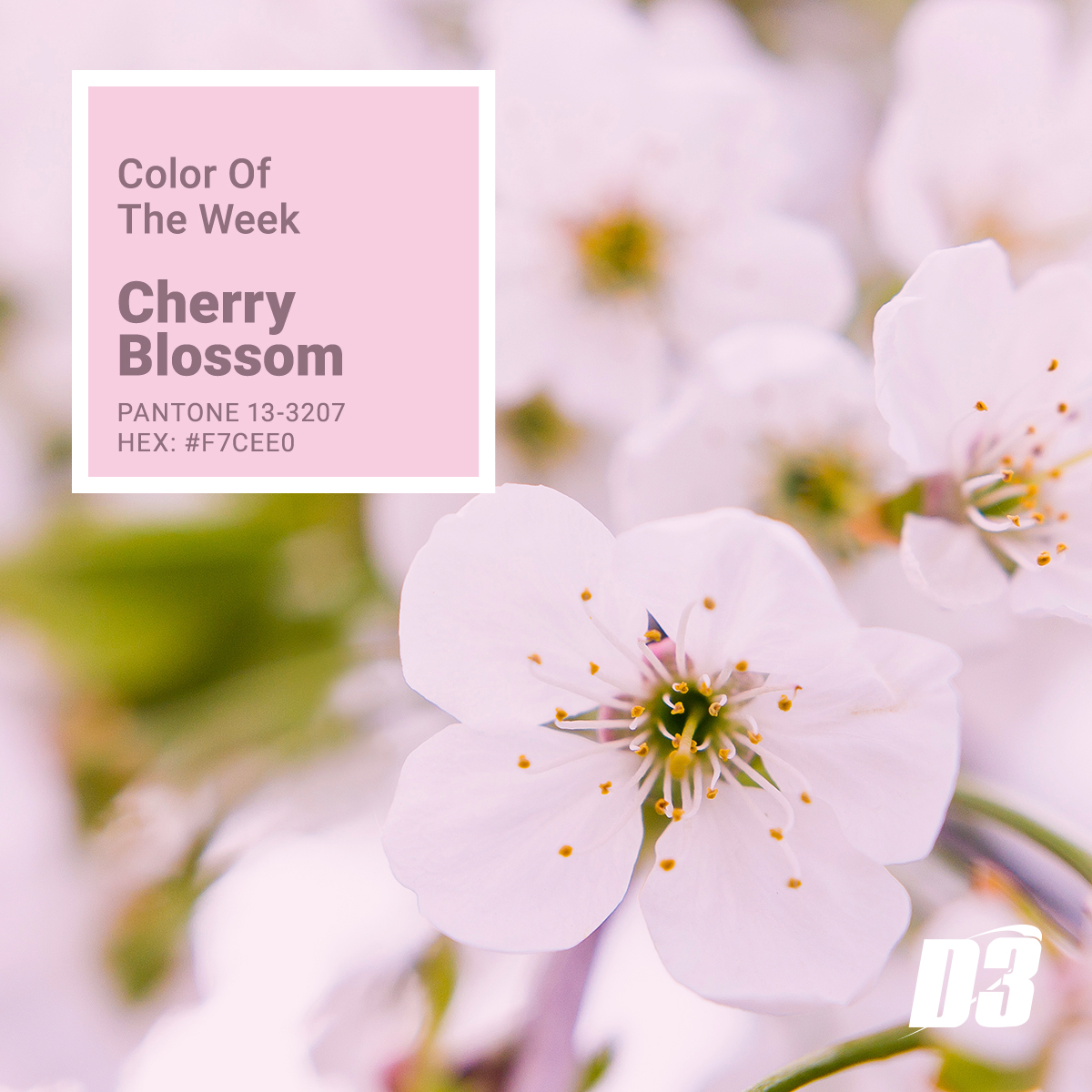 d3Inc_'s tweet image. Spring is here and  blooming with this week&apos;s color, Cherry Blossom. #d3 #spring #coloroftheweek #pantone