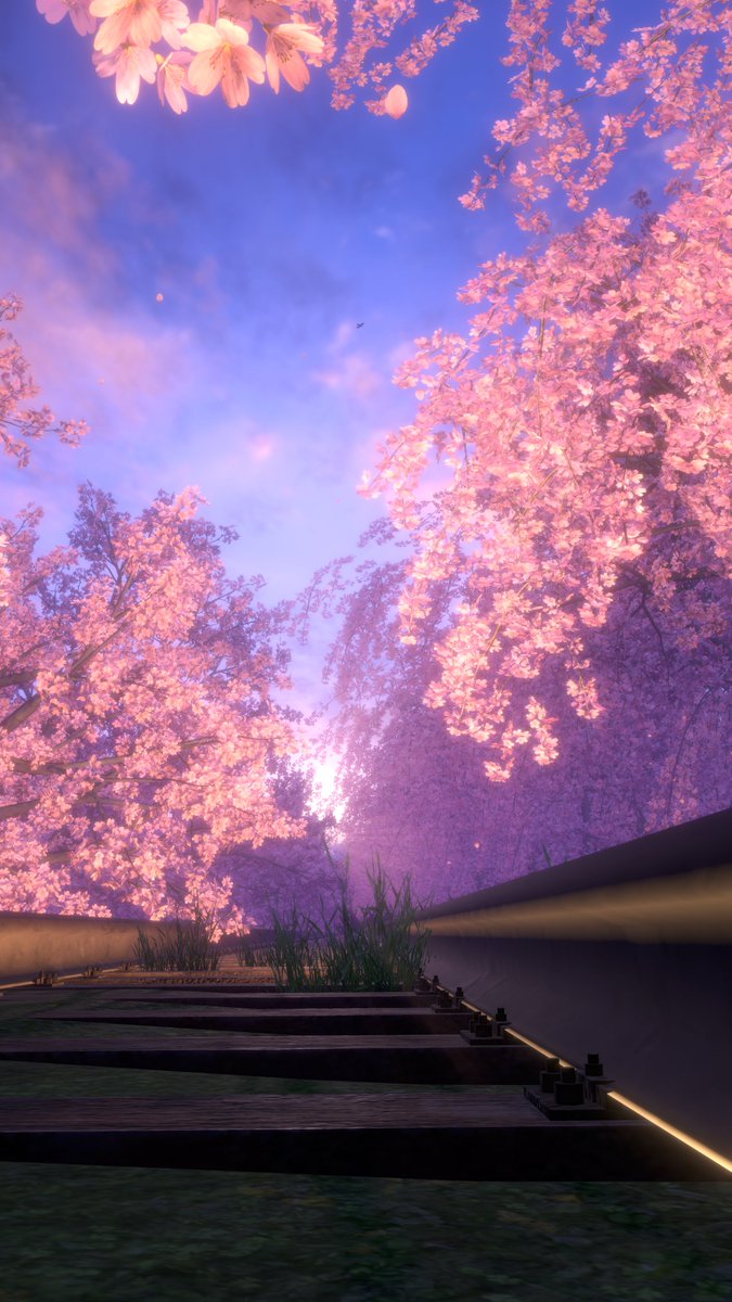 Dislick_OwO's tweet photo. 拍照練習-11 
微調對比 
跟風來拍漂亮的櫻花~ 
World :  Yayoi sakura Incline
Author : 猫屋敷やよい
#VRChat #VRChat_world紹介 
#VirtualPhotography https://t.co/pM004czjlu